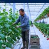 Farm Jobs in Canada with Sponsorship — Ontario