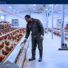 Farm Jobs in Canada with Sponsorship — Avonport, NS