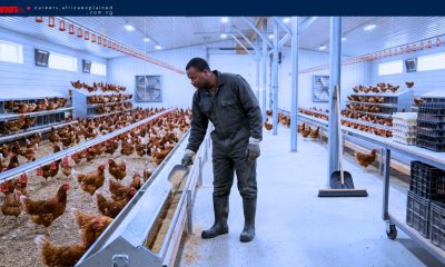 Farm Jobs in Canada with Sponsorship — Avonport, NS