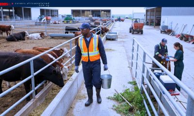 Farm Jobs in Canada with Sponsorship — Alberta