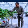Seasonal Jobs in Canada with Sponsorship — Kingsville, ON