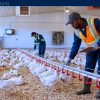 Farm Jobs in Canada with Sponsorship — Abbotsford, BC