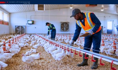 Farm Jobs in Canada with Sponsorship — Abbotsford, BC