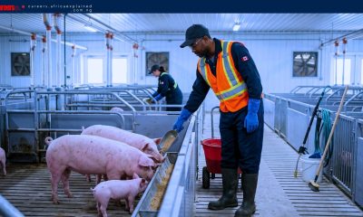 Work For Foreigners: Farm Jobs in Canada With Sponsorship — Ontario