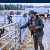 Jobs For Foreigners with Sponsorship: Farm Foreman/Woman — Abbotsford, BC