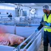 Factory Job in Canada with Sponsorship — Alberta