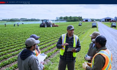 Work For Foreigners: Farm Supervisor Jobs with Sponsorship