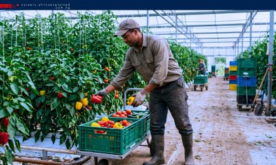 Farm Jobs in Canada with Sponsorship — Exeter, ON